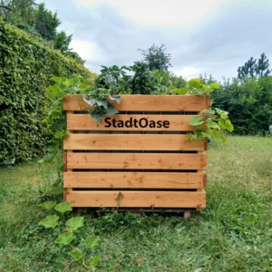 StadtOase, automatisches Pflanzsystem, Douglasie